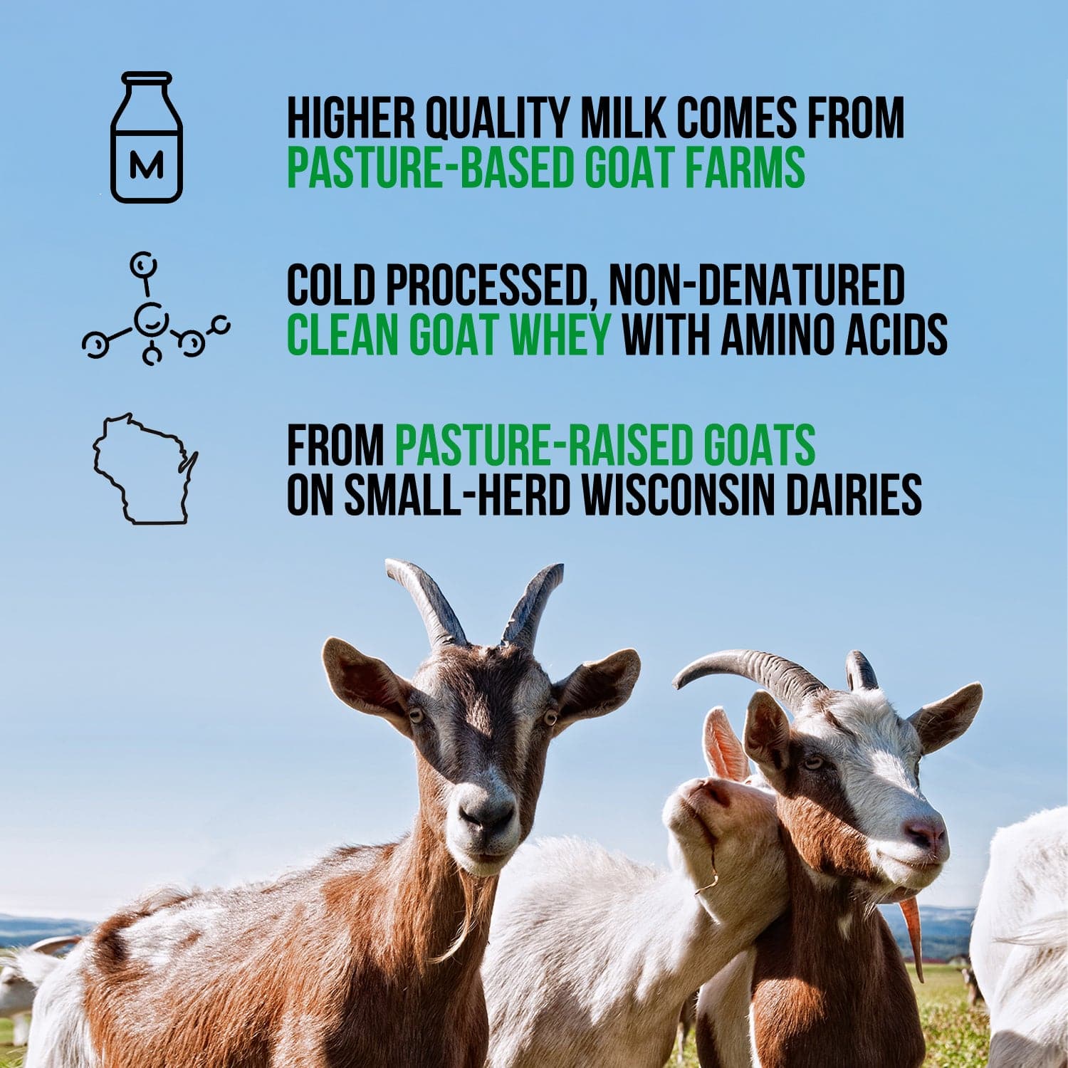Vanilla Goat Whey Protein Powder - Vanilla