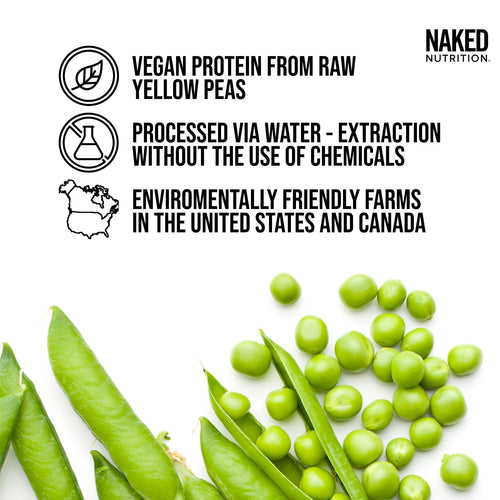 Chocolate Pea Protein Powder - Chocolate